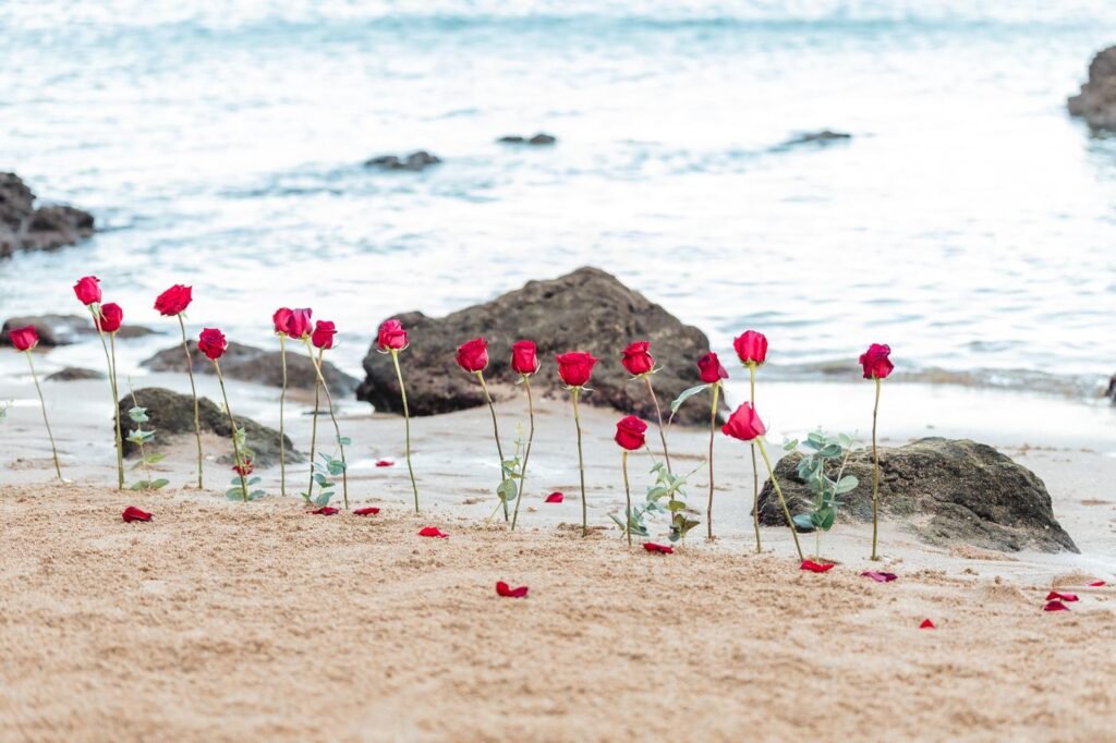 Secret proposal photography in the Algarve
